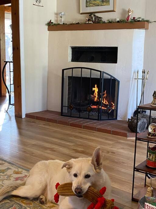 Blue Bird Cottage - Pet Friendly Julian Exterior foto
